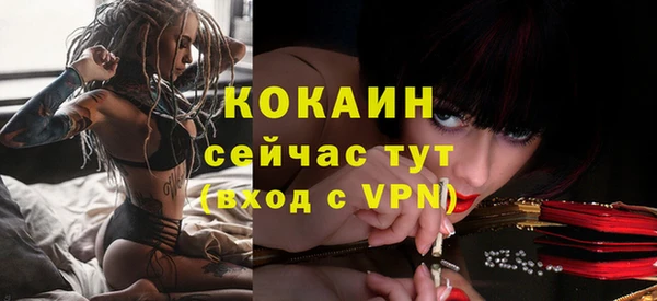 мдпв Касимов
