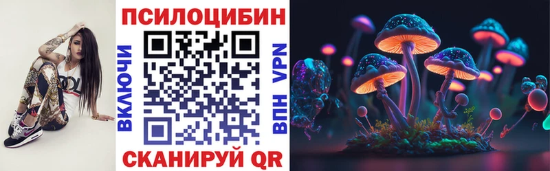 Псилоцибиновые грибы Cubensis  как найти   Омск 