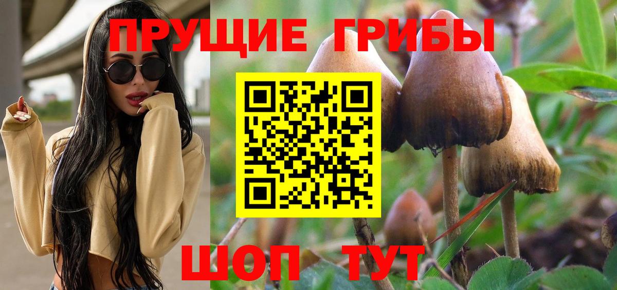 Галлюциногенные грибы MAGIC MUSHROOMS Омск